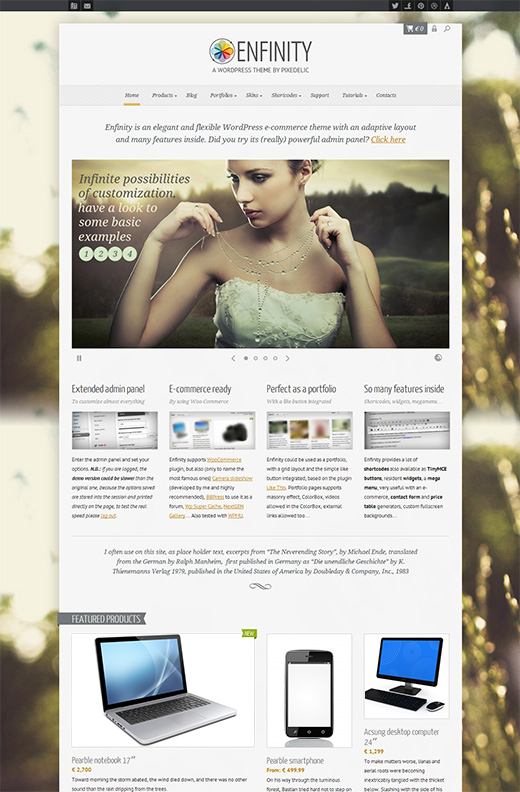 Enfinity-WordPress-eCommerce-Theme