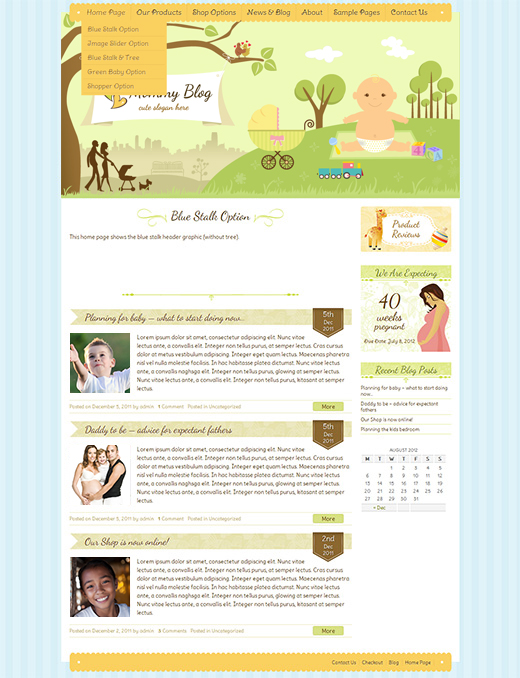 Mommy-Blog-WordPress-eCommerce-Theme