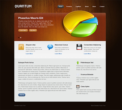 Quantum Business WordPress Theme