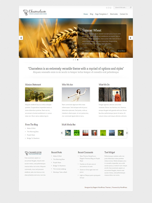 Chameleon Corporate WordPress Theme