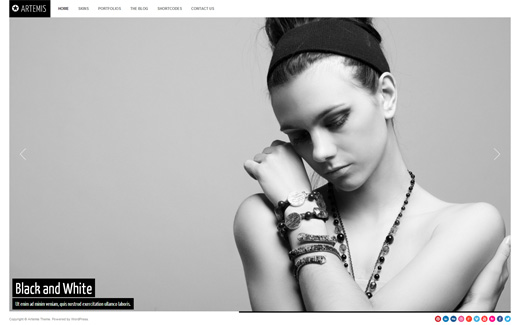 Artemis Photography WordPress Theme
