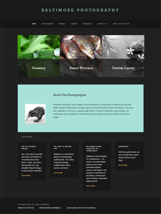 Baltimore-Photography-Portfolio-WordPress-Theme