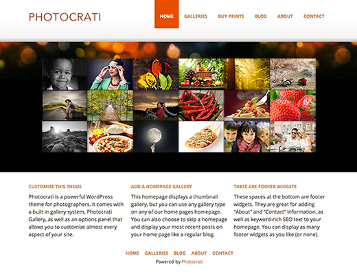 PhotoCrati WordPress Theme