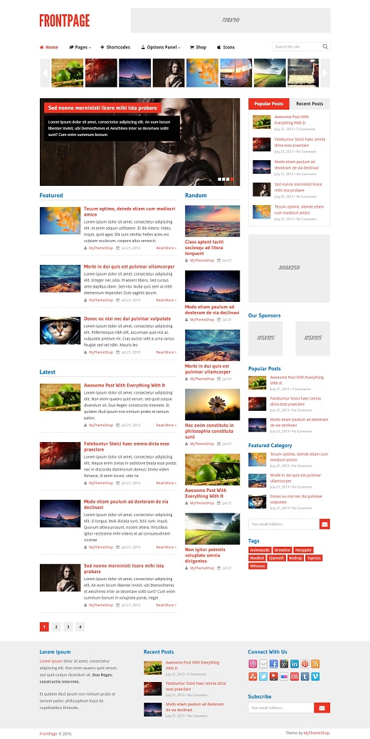 FrontPage WordPress Theme