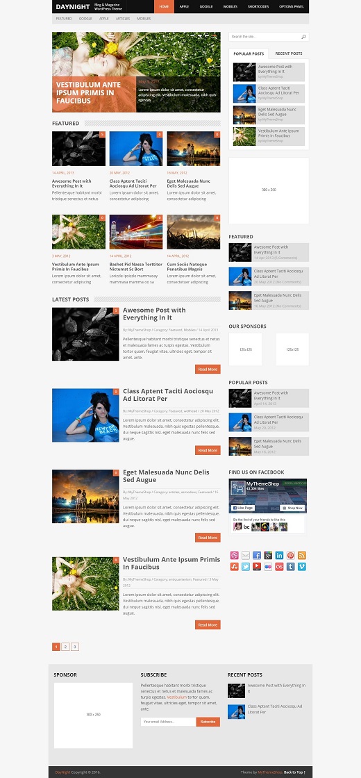 DayNight WordPress Theme