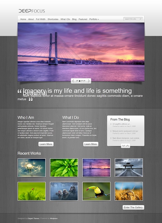 DeepFocus Photography WordPress Theme