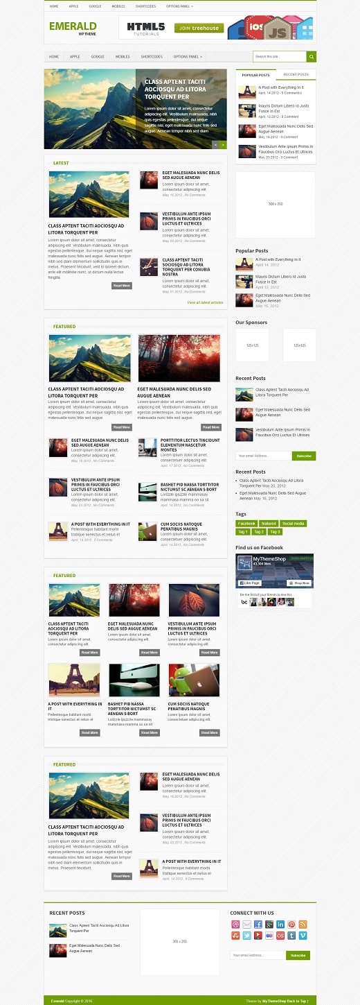 Emerald WordPress Theme