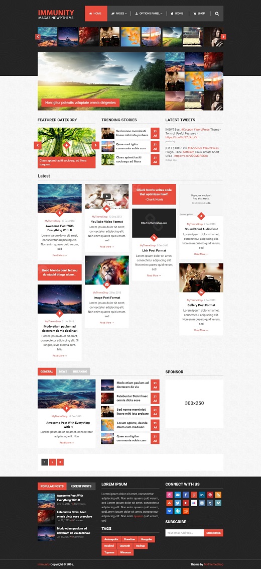 Immunity WordPress Theme