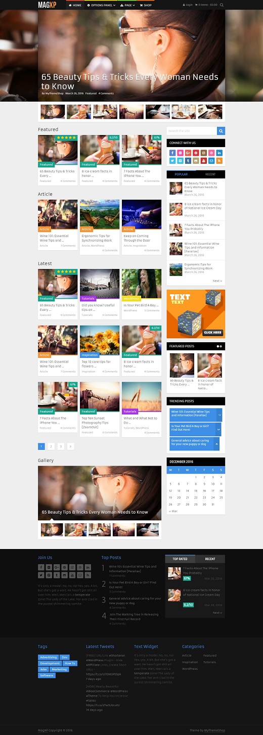 MagXP WordPress Theme