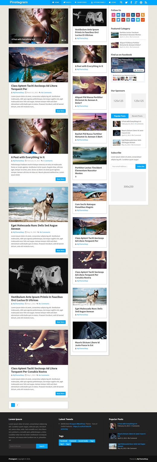 Pinstagram WordPress Theme