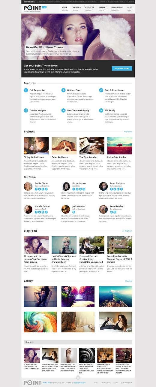 PointPro WordPress Themes