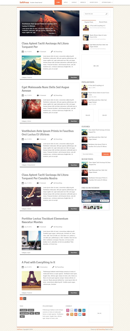 SoftPress WordPress Theme